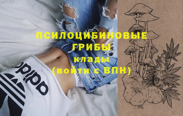кокс Абаза