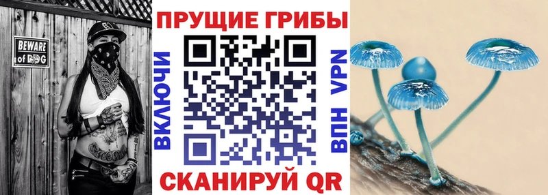 Галлюциногенные грибы MAGIC MUSHROOMS  Тулун 